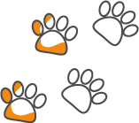 impronte dog - cane